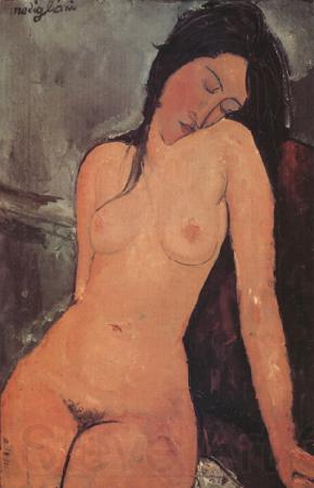 Amedeo Modigliani Nude (nn03) Germany oil painting art